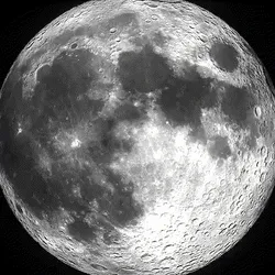 Polkamon To the moon #1