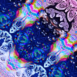 Macular Generation 001