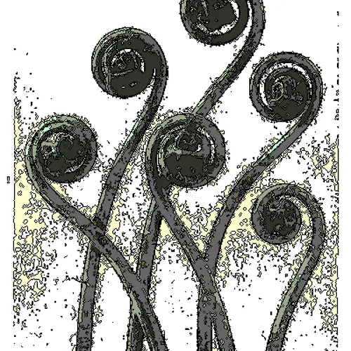 Natura