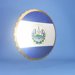Bitcoin Pioneer El Salvador!