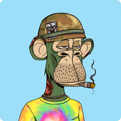 Bored Ape Yacht Club