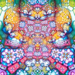 OrnaMENTAL