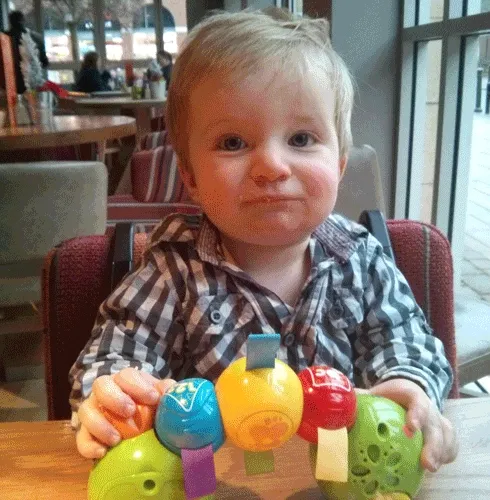 Hungry.....Caterpillar