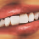 1153806