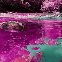 MetaRelaxation #2