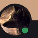 1127198