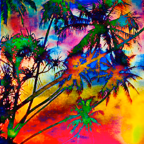 Tropical Imagination s1