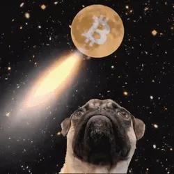 cryptopug BEANS
