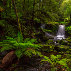 Horseshoe Falls, Tasmania