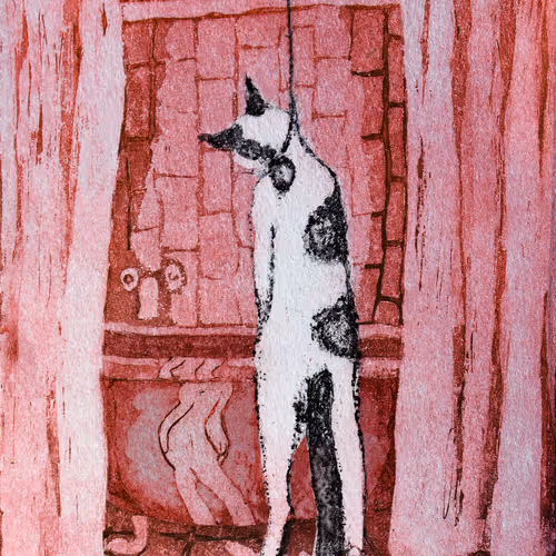 Hanging Cat