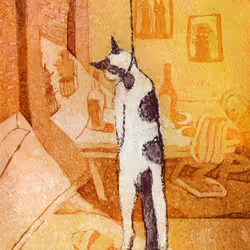 11