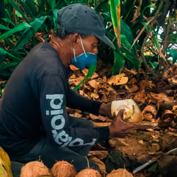 #11 | Coconut Man