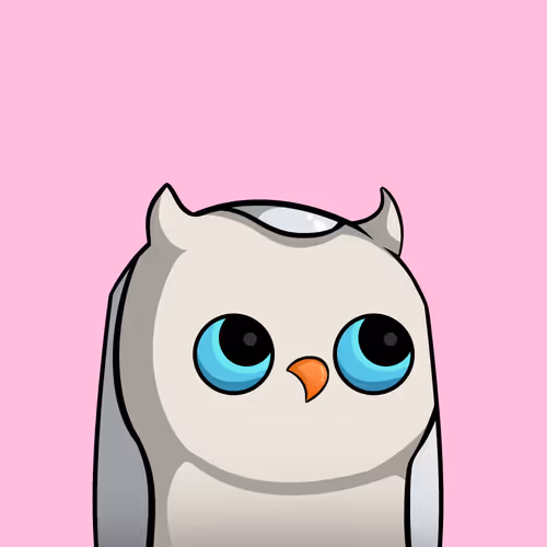 Borinbirds