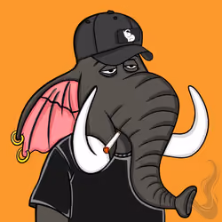Untamed Elephant #1951