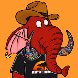Untamed Elephant #670
