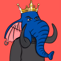Untamed Elephant #2870