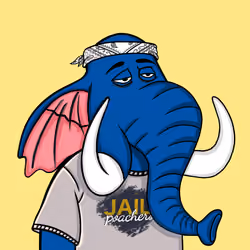 Untamed Elephant #6084