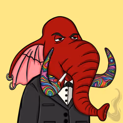 Untamed Elephant #870