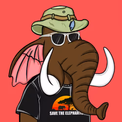 Untamed Elephant #3875