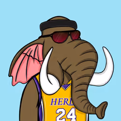 Untamed Elephant #4863