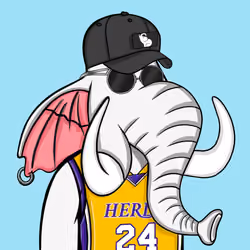 Untamed Elephant #2462
