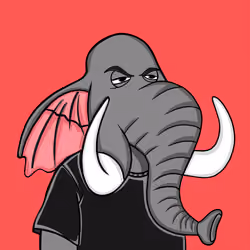 Untamed Elephant #5062