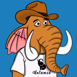 Untamed Elephant #2602