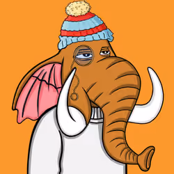 Untamed Elephant #2461