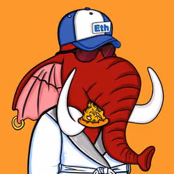 Untamed Elephant #1706
