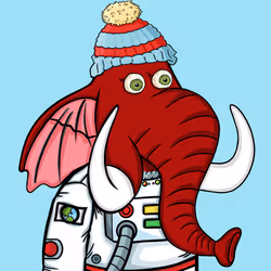 Untamed Elephant #6216