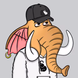 Untamed Elephant #2516
