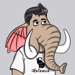 Untamed Elephant #6710