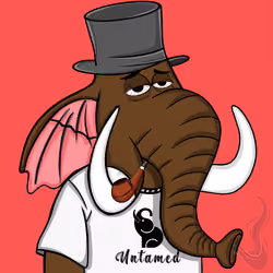 Untamed Elephant #1842