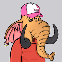 Untamed Elephant #2555