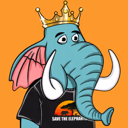 Untamed Elephant #2843