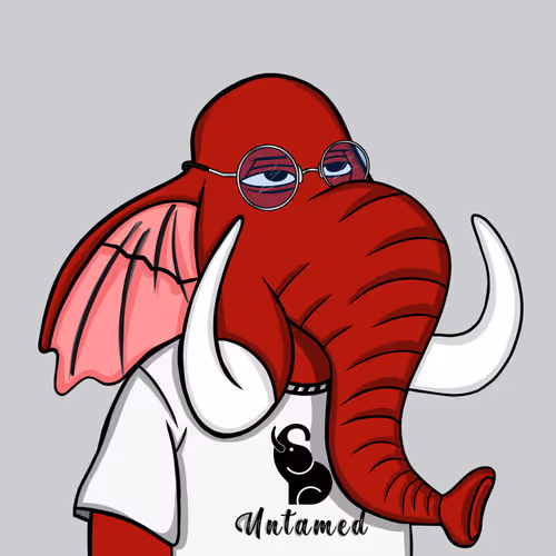 Untamed Elephants