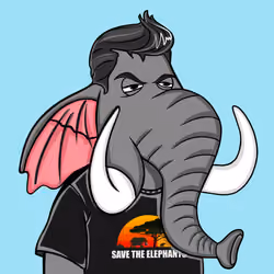 Untamed Elephant #6783