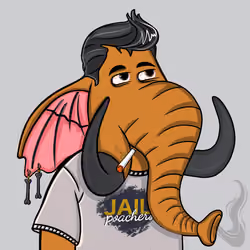 Untamed Elephant #485