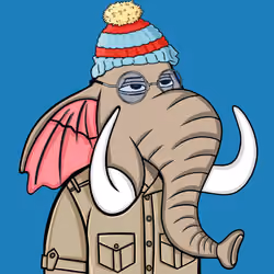 Untamed Elephant #6242