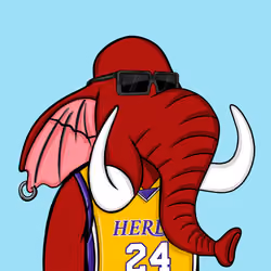 Untamed Elephant #2675