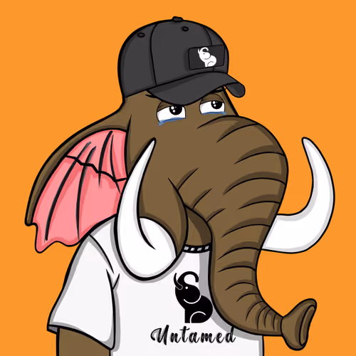 Untamed Elephant #6606