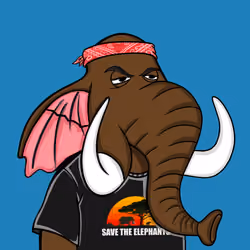 Untamed Elephant #4628