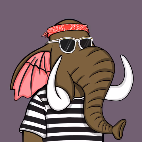 Untamed Elephant #5364