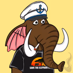 Untamed Elephant #518