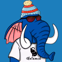 Untamed Elephant #5049