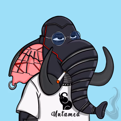 Untamed Elephant #1802