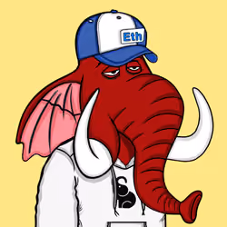Untamed Elephant #7423