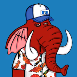 Untamed Elephant #5368