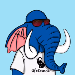 Untamed Elephant #5241