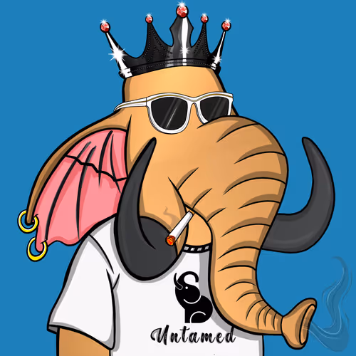 Untamed Elephants